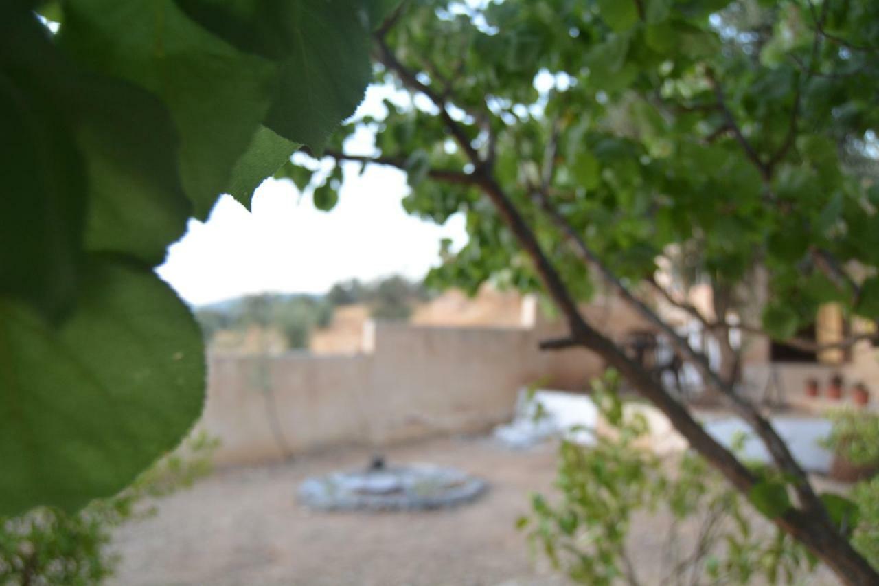 Our Villa'S Private Apartments - Hq Budget Stay - Wonderful Horizon View Of Jerash Jarash Buitenkant foto